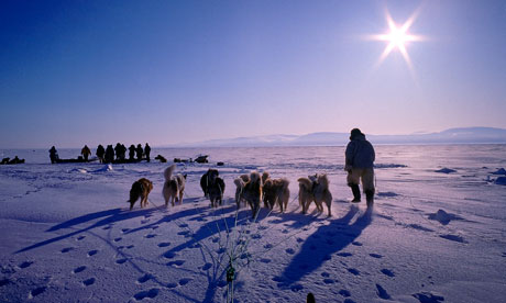 Greenland Dog Sledding