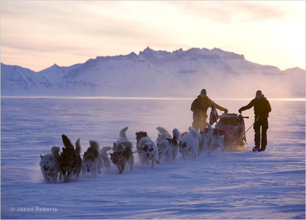 Greenland Dog Sledding