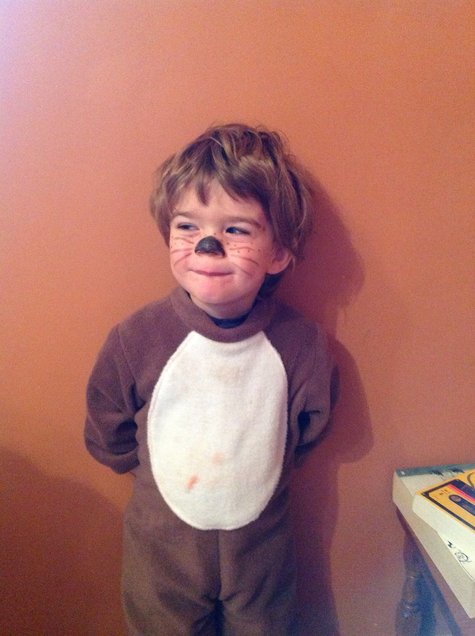 Gruffalo Mouse Dress Up