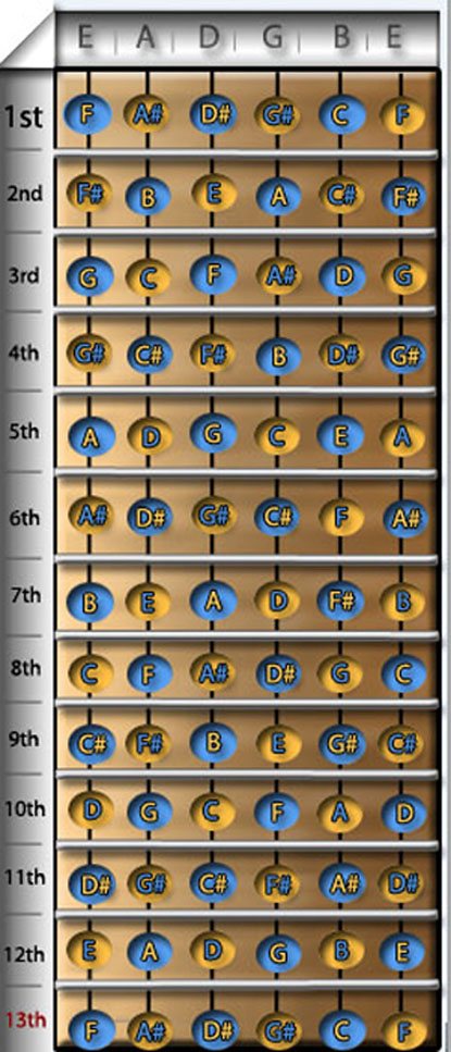 Guitar Notes Strings Chart