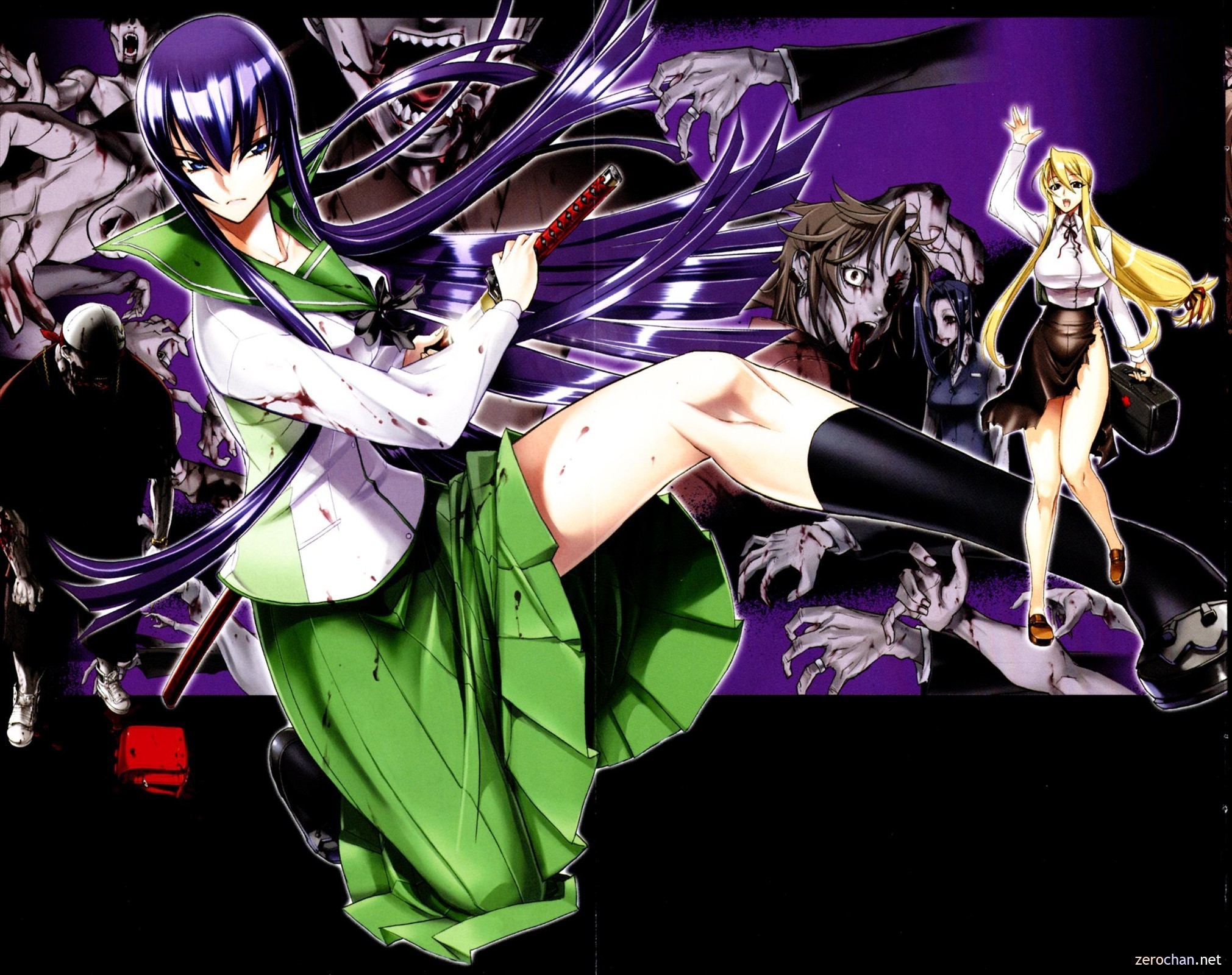 Highschool Of The Dead Saeko