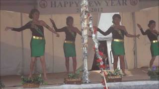 Hmong New Year 2012 Nc