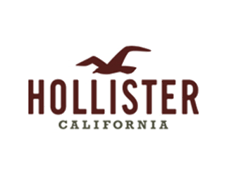 Hollister Logo Bird