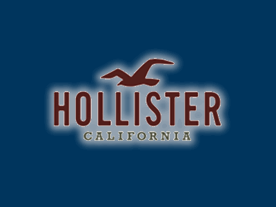 Hollister Logo Blue