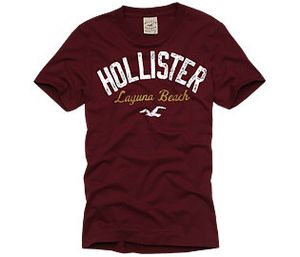 Hollister Shirts For Guys