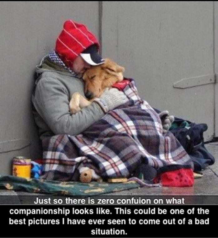 Homeless Man And His Dog