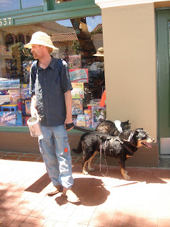 Homeless Man With Dog Cat And Rat