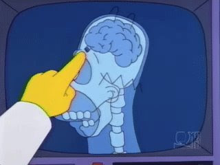 Homer Simpson Brain Damage