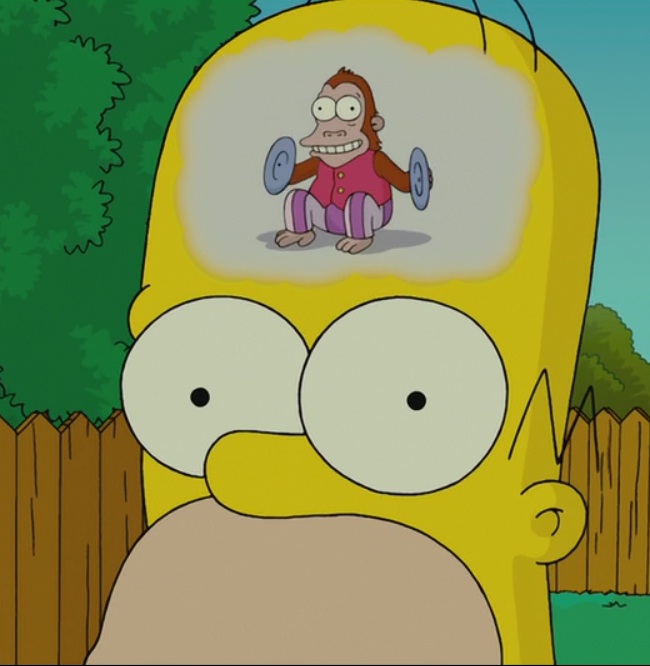 Homer Simpson Brain Monkey