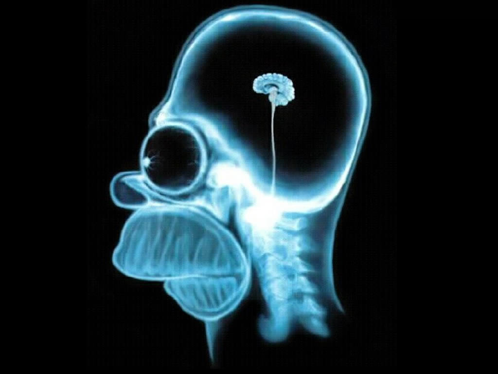 Homer Simpson Brain Picture