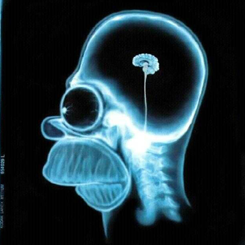 Homer Simpson Brain Picture