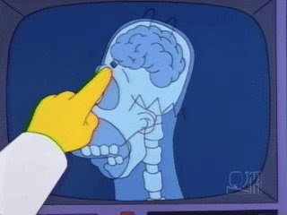 Homer Simpson Brain X Ray