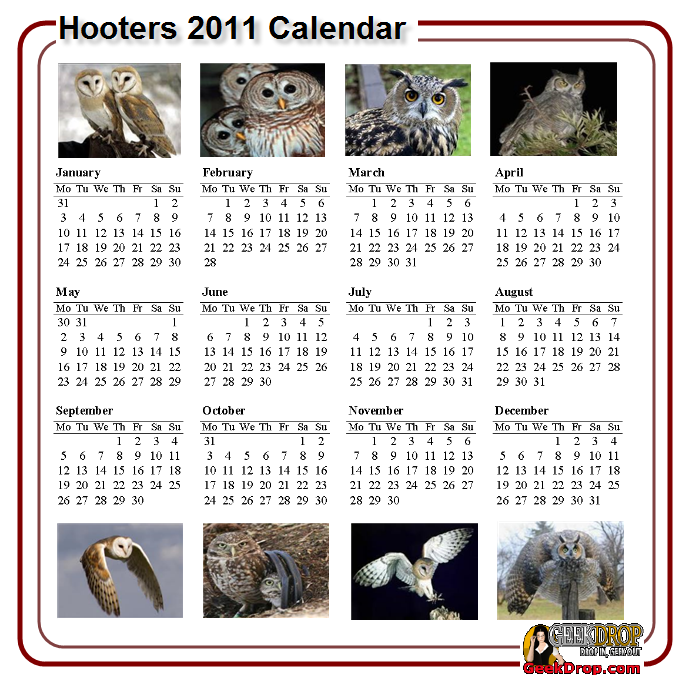 Hooters Calendar 2011
