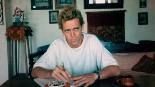 Hugh Laurie Younger