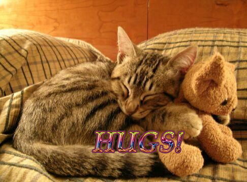 Hugs For You My Friend