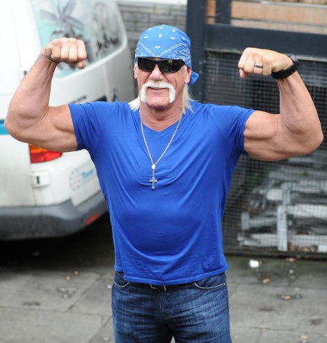 Hulk Hogan Heather Clem Video Online