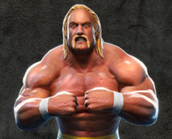 Hulk Hogan Wwe 12 Formula