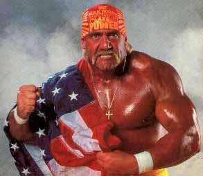 Hulk Hogan Wwe Champion