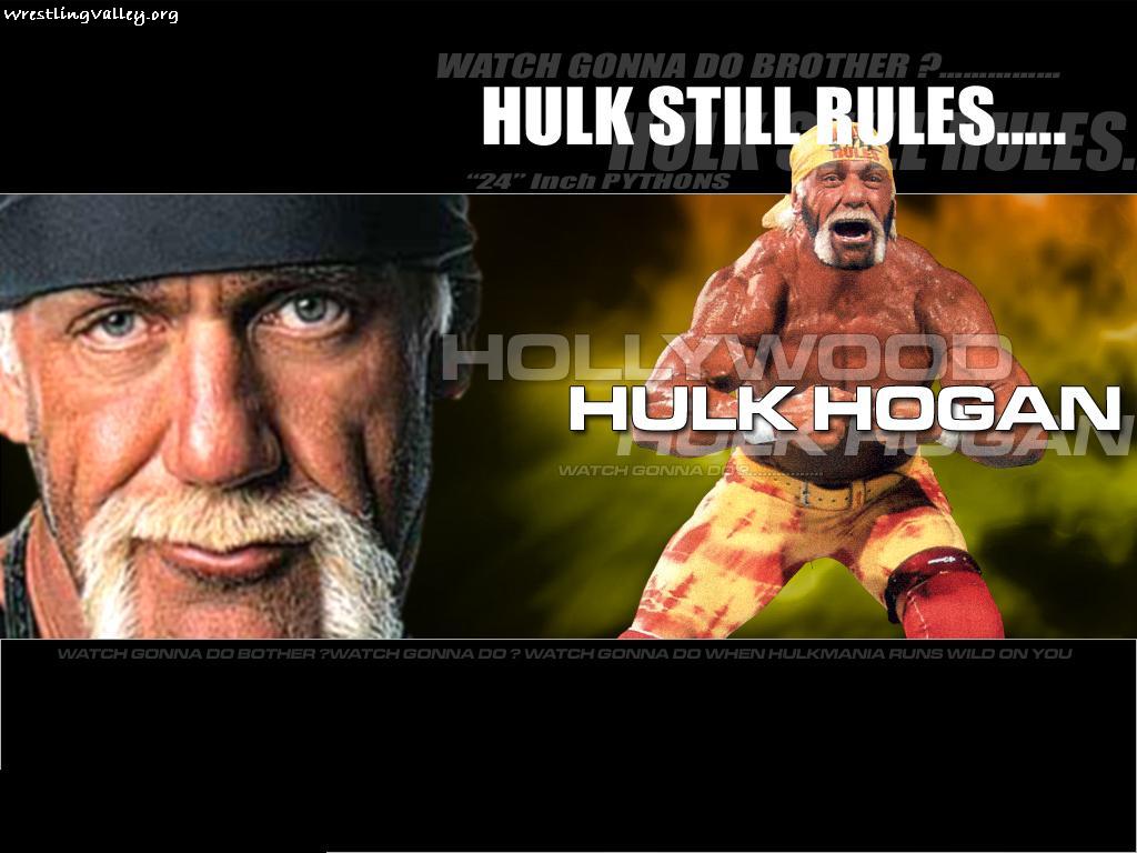 Hulk Hogan Wwe Champion