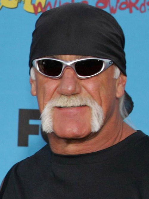 Hulk Hogan Wwe Hall Of Fame