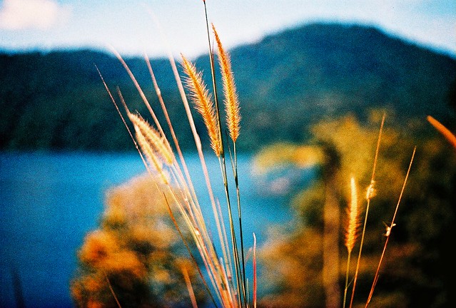 Hulu Langat Dam