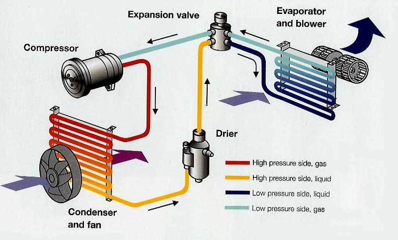 Hvac System Layout