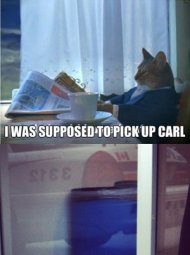 Ikea Monkey Carl