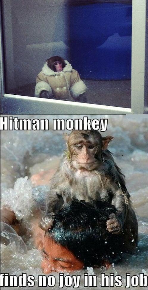 Ikea Monkey Carl Meme