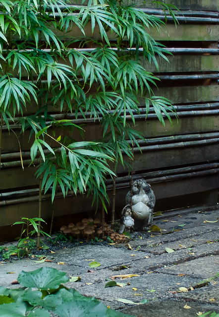 Il Ghiottone Kyoto