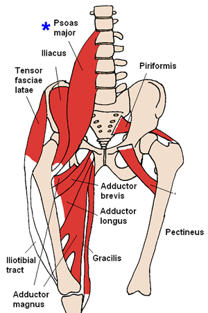 Iliopsoas Strain Running