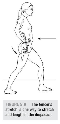 Iliopsoas Stretches And Exercises