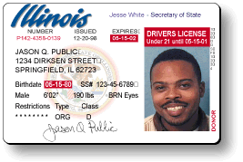 Illinois Drivers License Back
