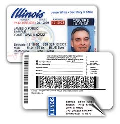 Illinois Drivers License Back