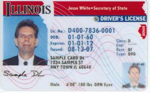 Illinois Drivers License