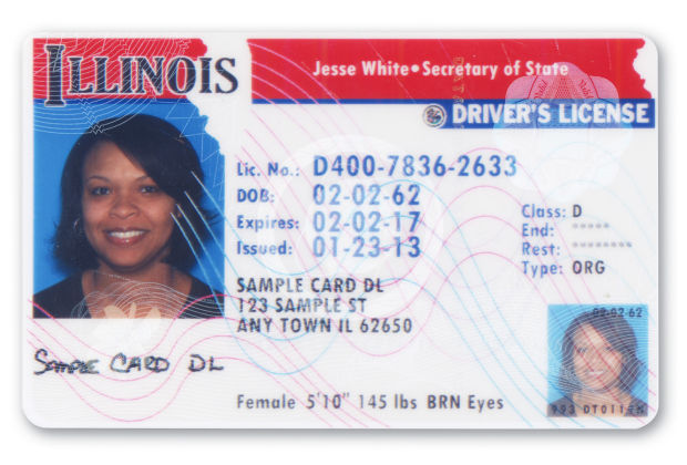 Illinois Drivers License