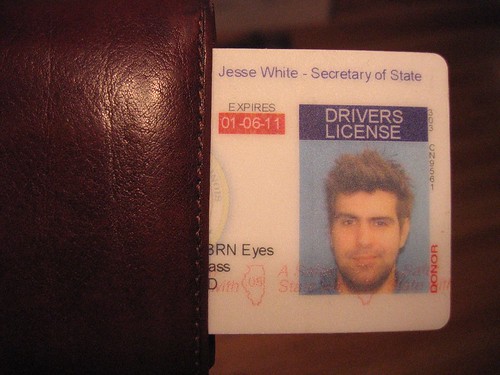 Illinois Drivers License Number