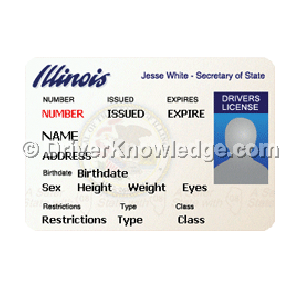 Illinois Drivers License Test Free