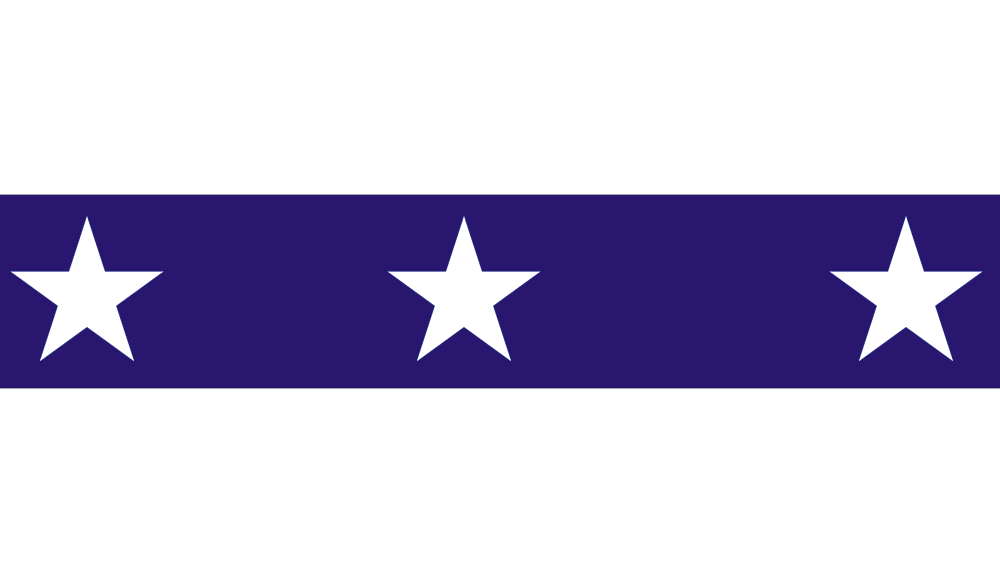 Illinois Flag 2012