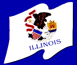 Illinois Flag 2012