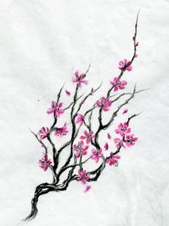 Japanese Cherry Blossom Tattoo Designs For Women
