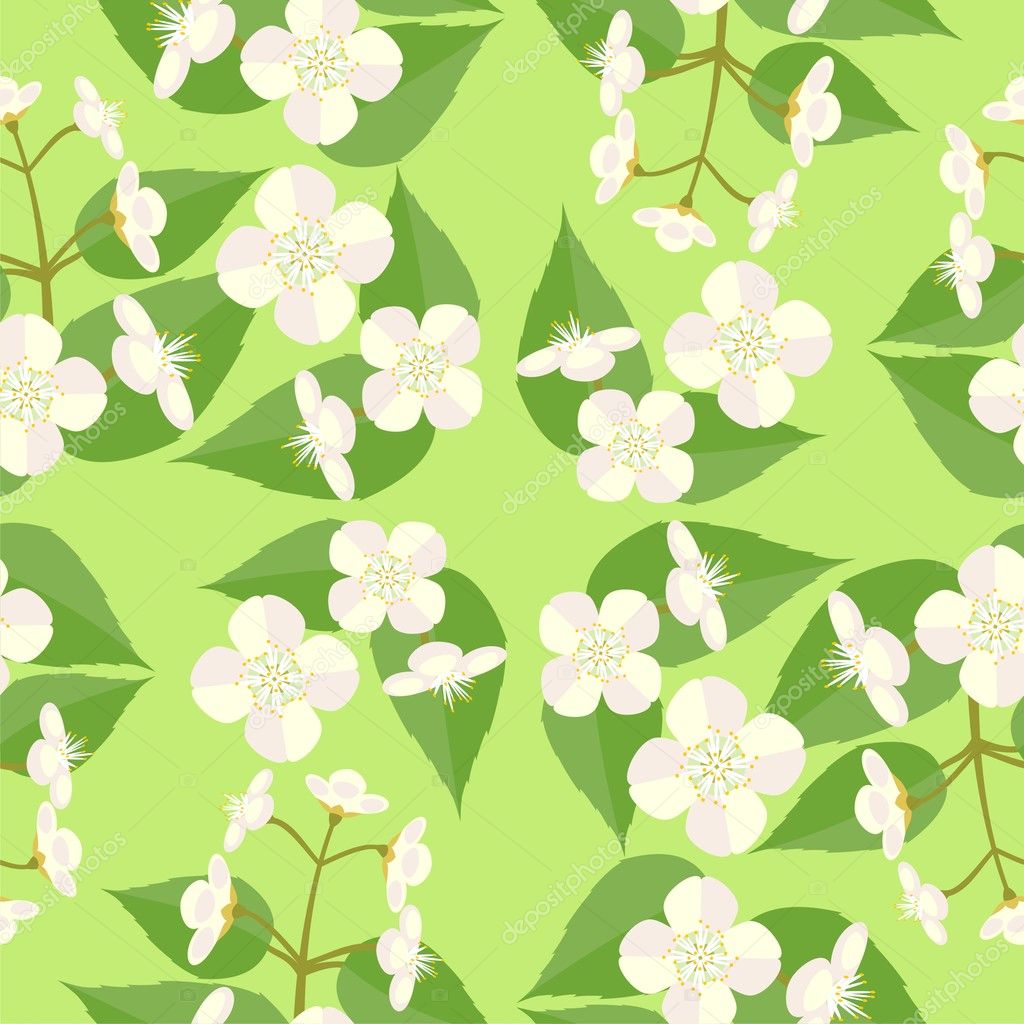 Jasmine Flower Vector