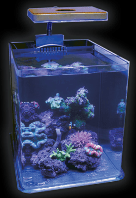 Jbj Nano Cube Rl Rimless Biotope Aquarium