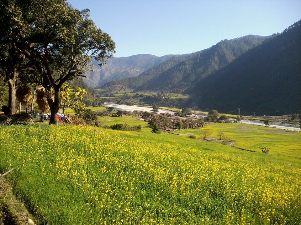 Jhulaghat Baitadi