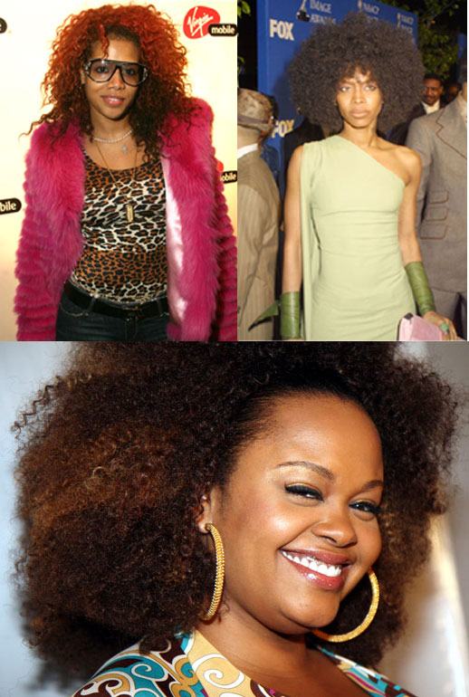 Jill Scott Hairstyles