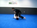 Jiu Jitsu Moves Youtube