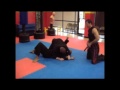 Jiu Jitsu Moves Youtube