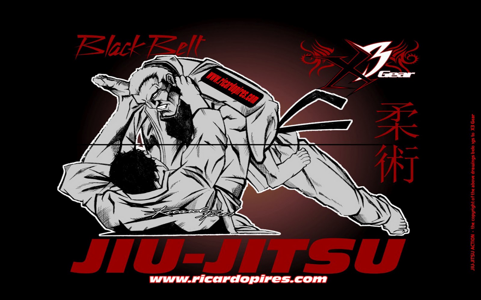 Jiu Jitsu Wallpaper Hd