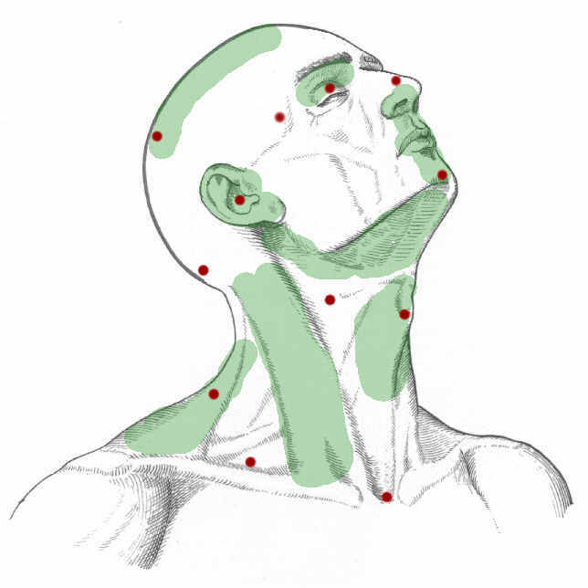 Jugular Notch Location