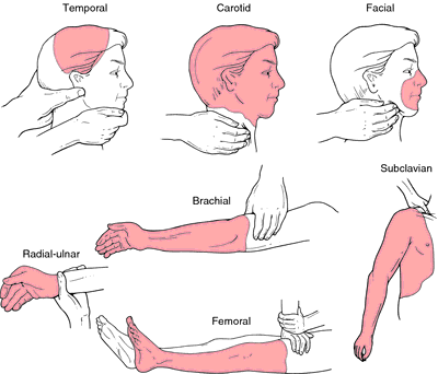 Jugular Notch Pressure Point