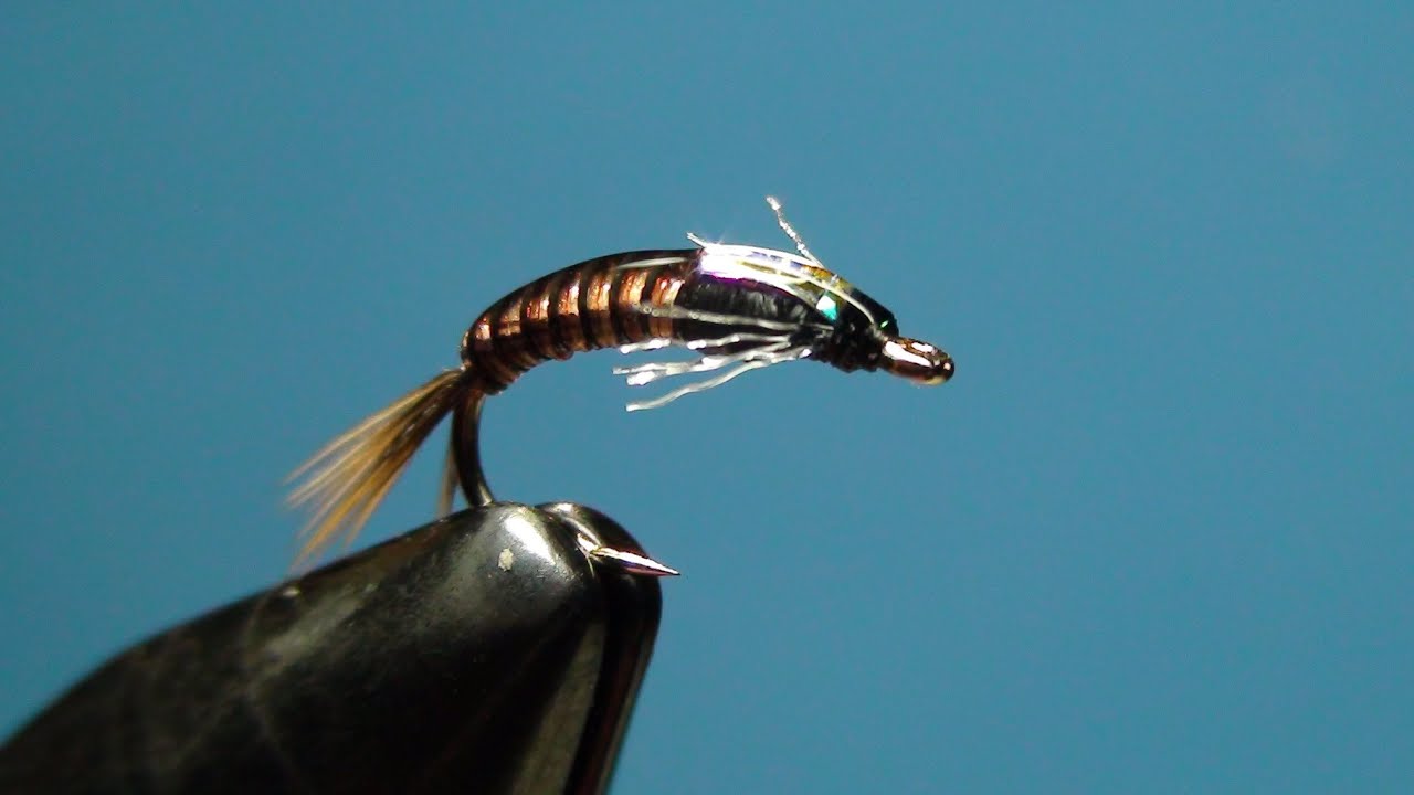 Juju Baetis Fly